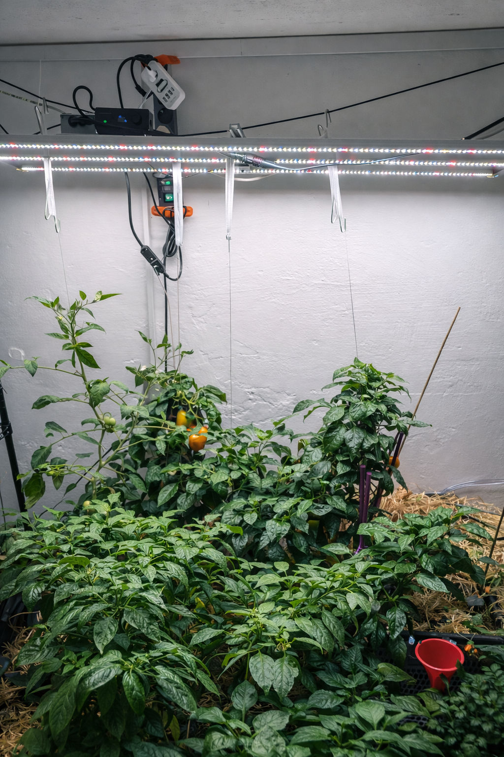 OpenGreen.house greenhouse setup